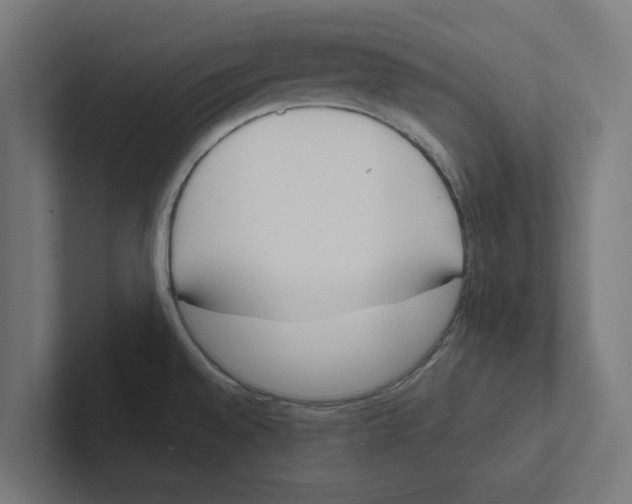 X0000102291528200808221347