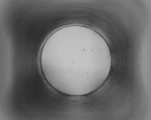 X0000102291532200808221347