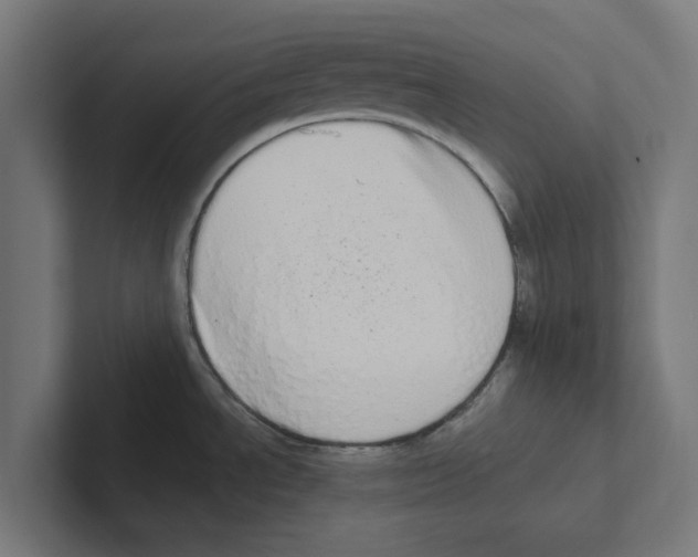 X0000102291534200808221347