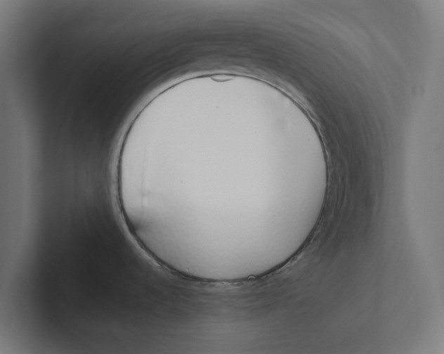 X0000102291536200808221347