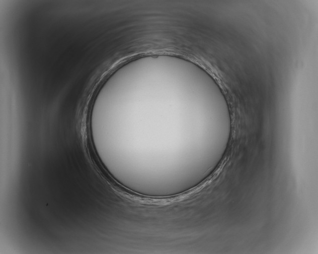X0000102300002200807251030