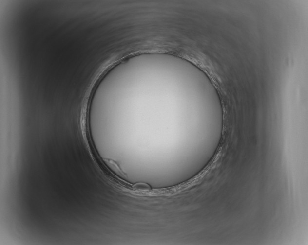 X0000102300003200807251030