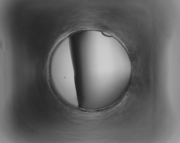 X0000102300008200807251030