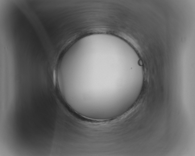 X0000102300013200807251030