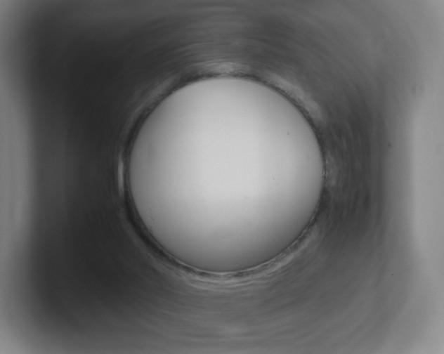 X0000102300014200807251030