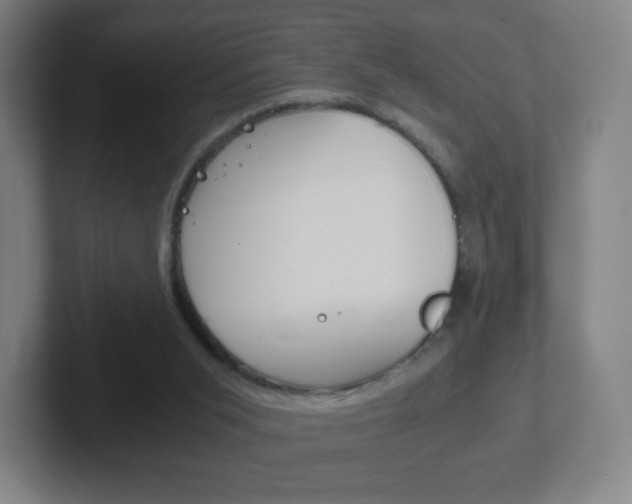 X0000102300015200807251030