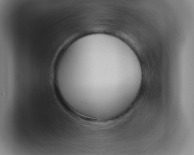 X0000102300016200807251030