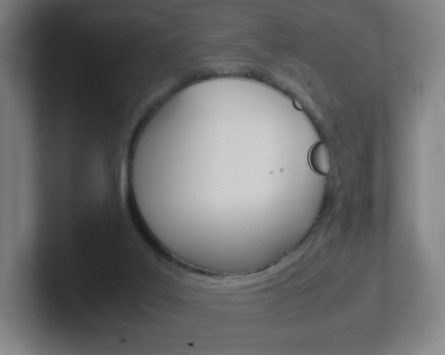 X0000102300019200807251030