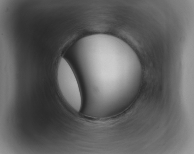 X0000102300020200807251030