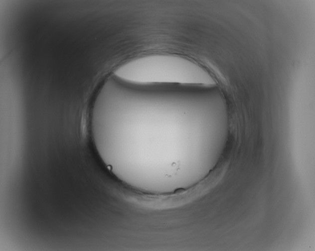 X0000102300023200807251030