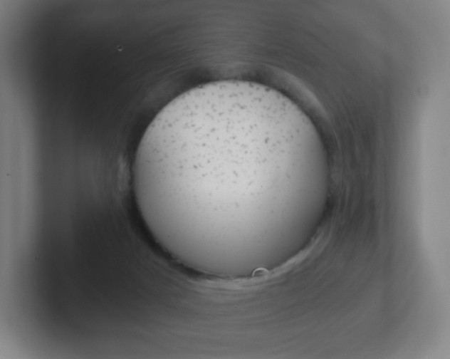 X0000102300025200807251030