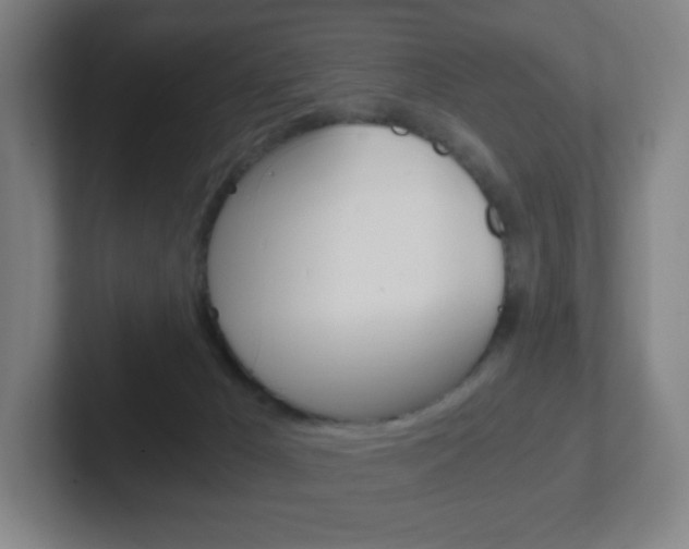 X0000102300029200807251030