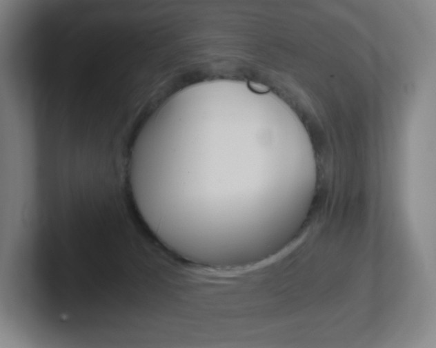 X0000102300033200807251030