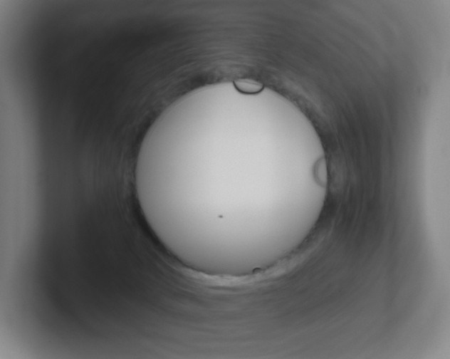 X0000102300034200807251030