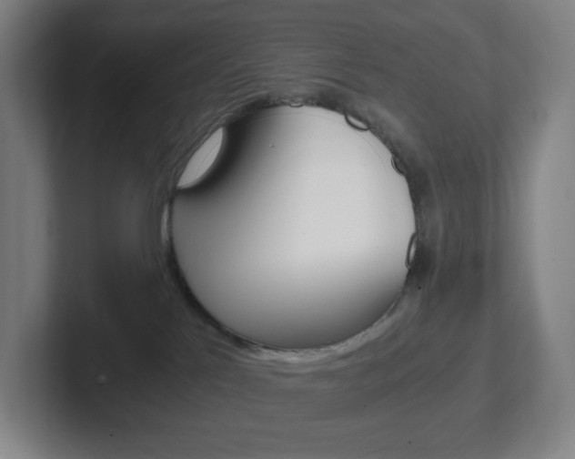 X0000102300041200807251030