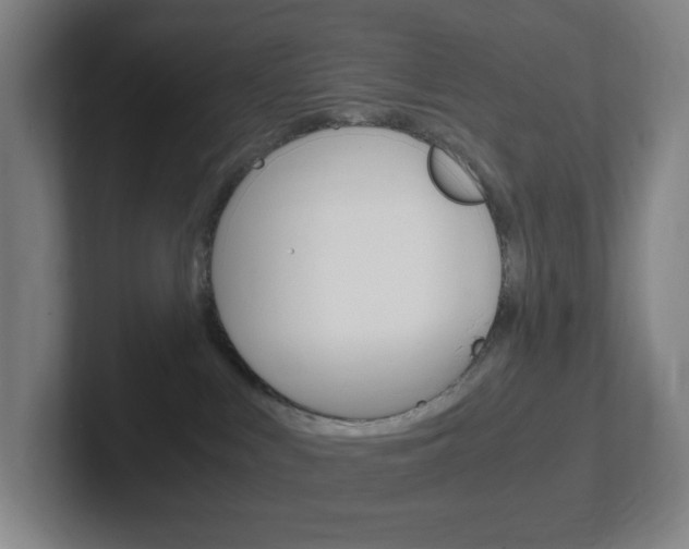 X0000102300043200807251030