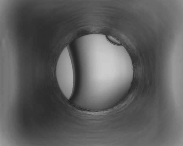 X0000102300044200807251030