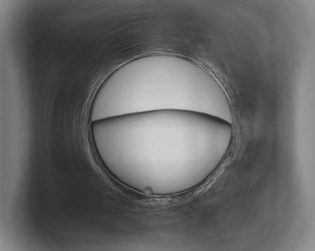 X0000102300049200807251029