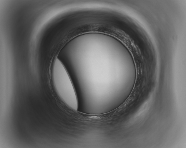 X0000102300050200807251029