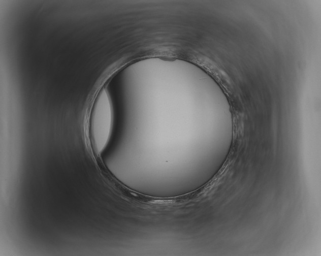 X0000102300051200807251029