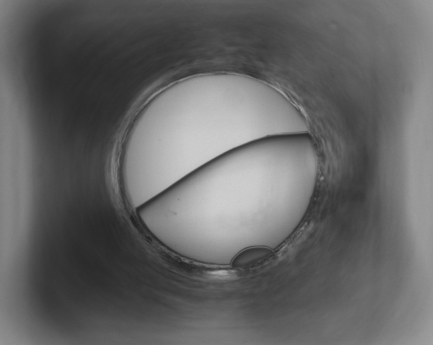 X0000102300053200807251029