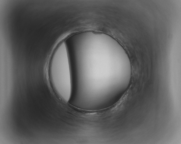X0000102300054200807251029