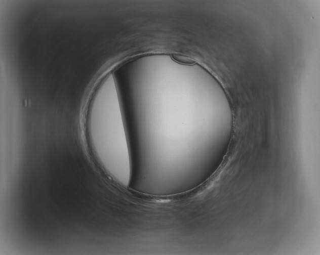 X0000102300055200807251029