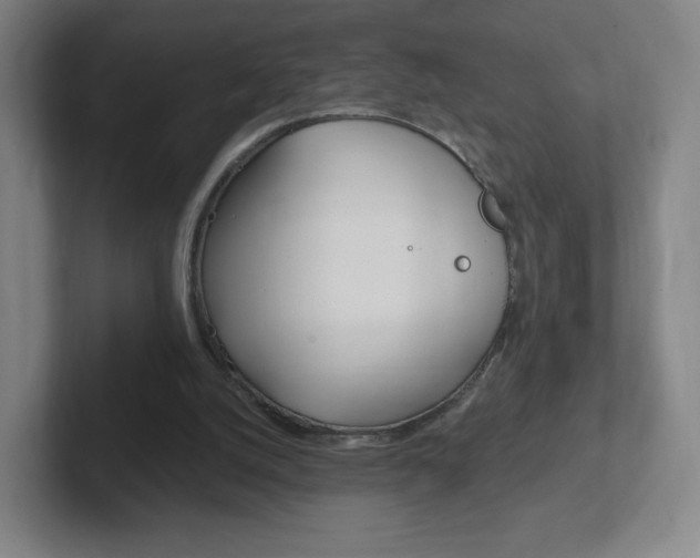 X0000102300056200807251029