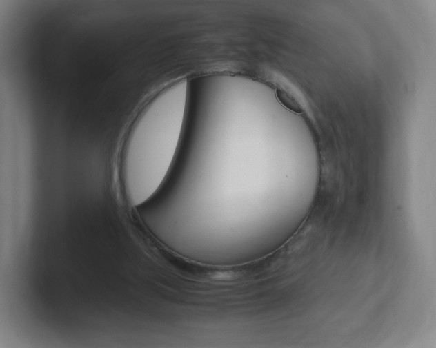 X0000102300059200807251029