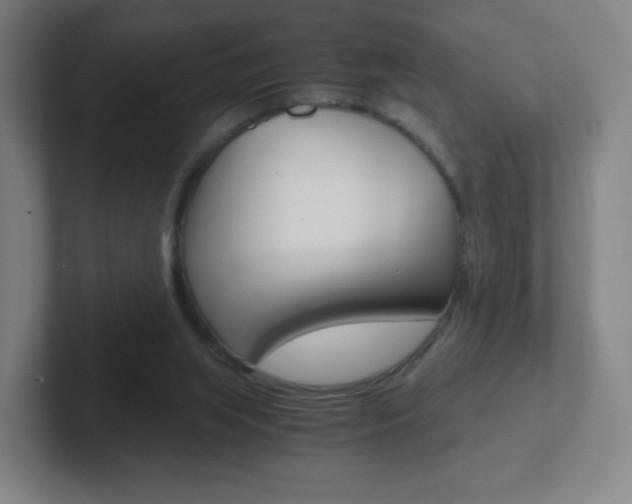 X0000102300063200807251029