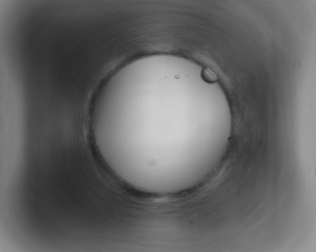 X0000102300068200807251029