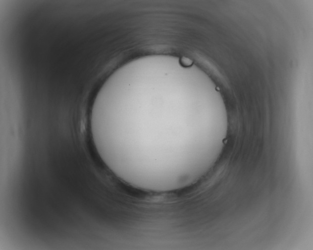 X0000102300072200807251029