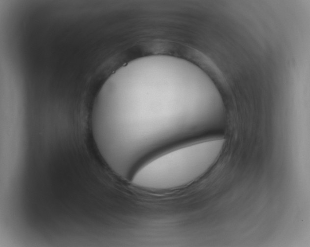 X0000102300073200807251029