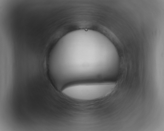 X0000102300074200807251029
