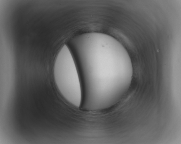 X0000102300077200807251029