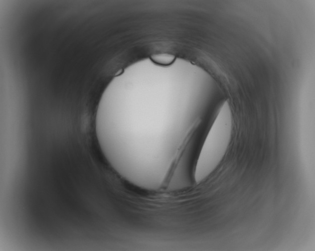 X0000102300079200807251029
