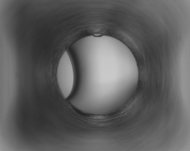 X0000102300085200807251029