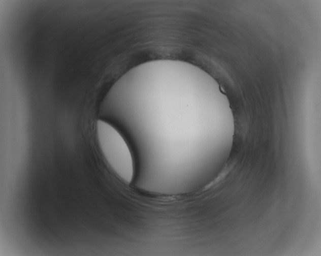 X0000102300086200807251029