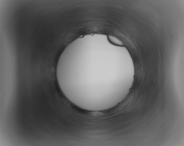 X0000102300087200807251029