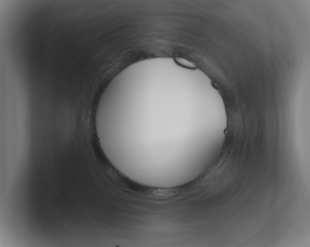 X0000102300088200807251029