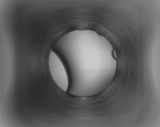 X0000102300091200807251030