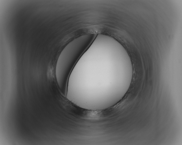 X0000102300096200807251030