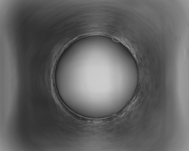 X0000102300097200807251029