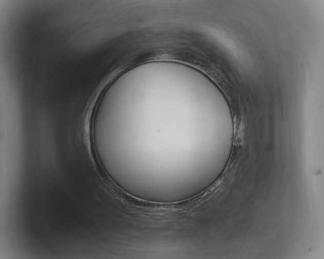 X0000102300099200807251029