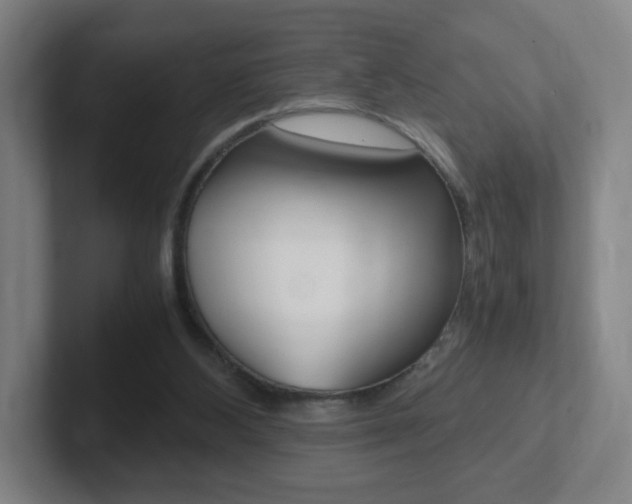 X0000102300108200807251029