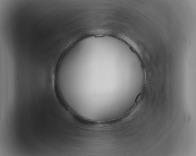 X0000102300109200807251029