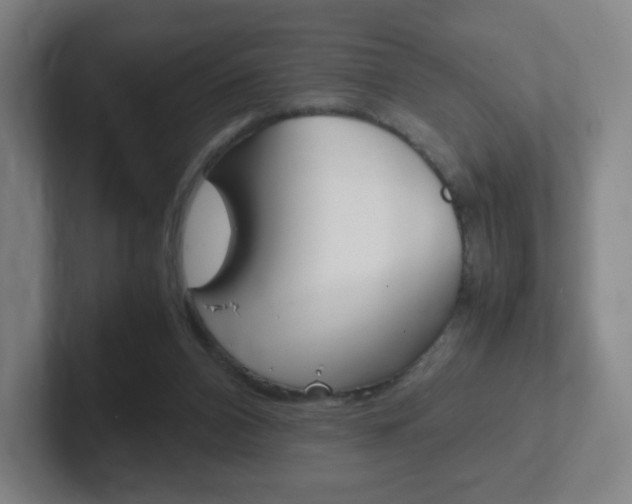 X0000102300112200807251029