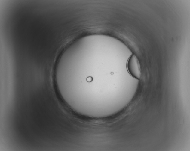 X0000102300115200807251029