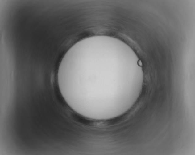 X0000102300117200807251029