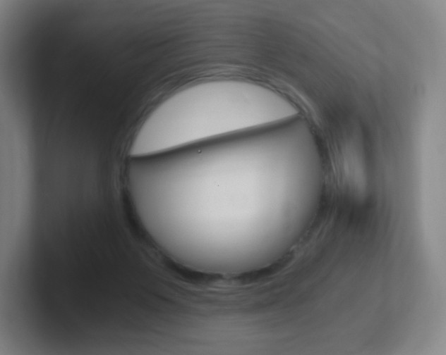 X0000102300119200807251029